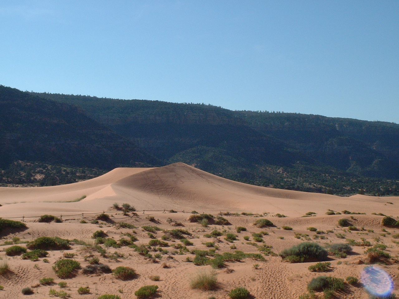 Coral Pink Dunes