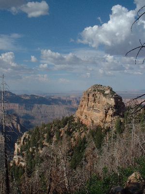 View from Roosevelt Point