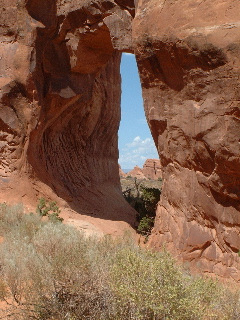 Pine Tree Arch at Arches National Park